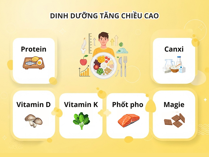 Các chất dinh dưỡng cần có trong thực đơn tăng chiều cao ở tuổi 16.